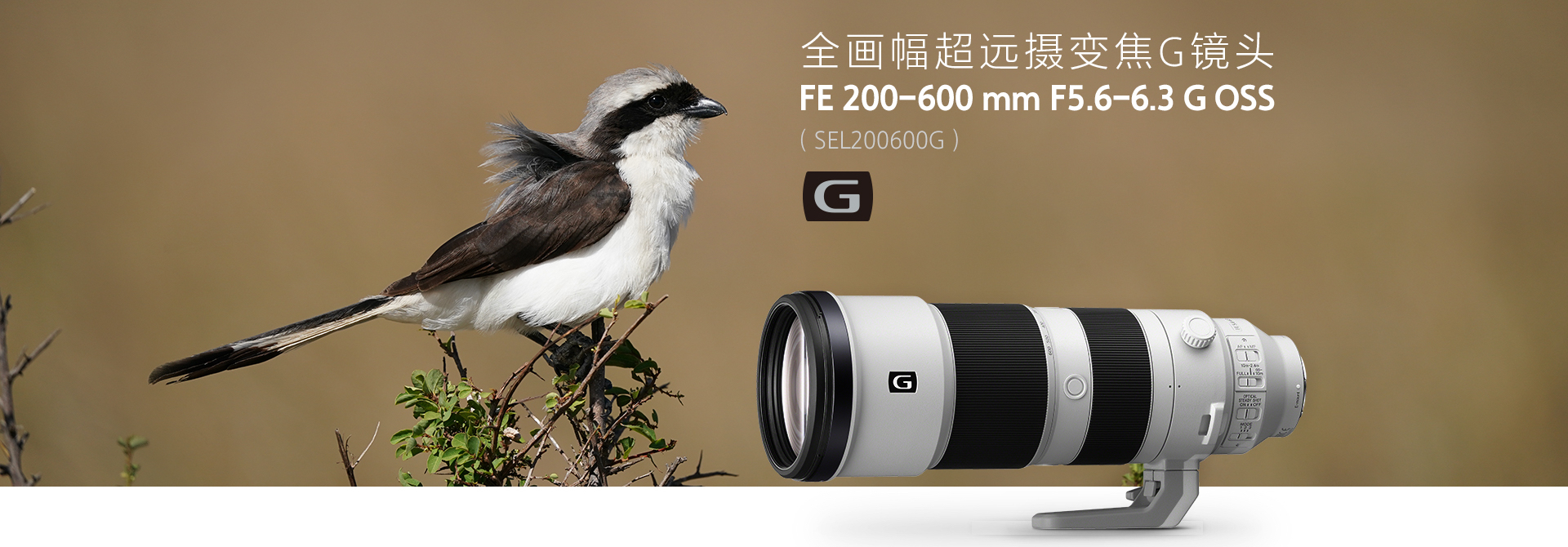 Sony FE 200-600mm F5.6-6.3 G OSS